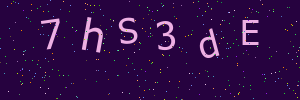Validation image